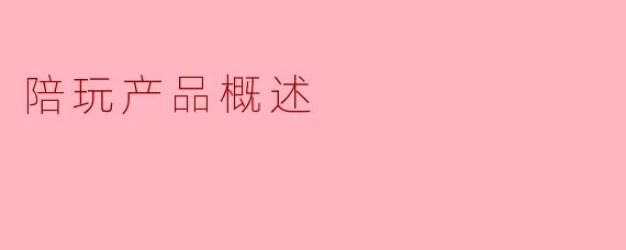 陪玩产品概述