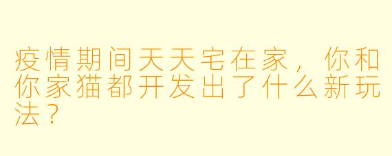 疫情期间天天宅在家，你和你家猫都开发出了什么新玩法？