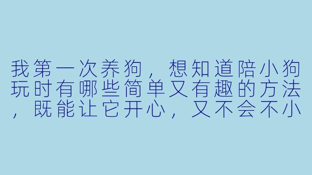 我第一次养狗,想知道陪小狗玩时有哪些简单又有趣的方法,既能让它开心,又不会不小心伤害到它?-如何陪小狗玩