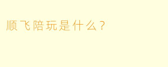 顺飞陪玩是什么？
