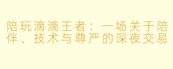 陪玩滴滴王者：一场关于陪伴、技术与尊严的深夜交易