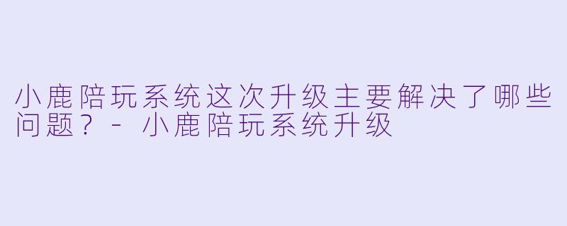 小鹿陪玩系统这次升级主要解决了哪些问题？