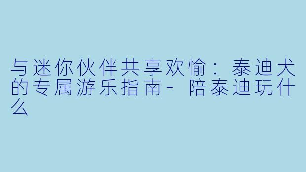 与迷你伙伴共享欢愉:泰迪犬的专属游乐指南-陪泰迪玩什么