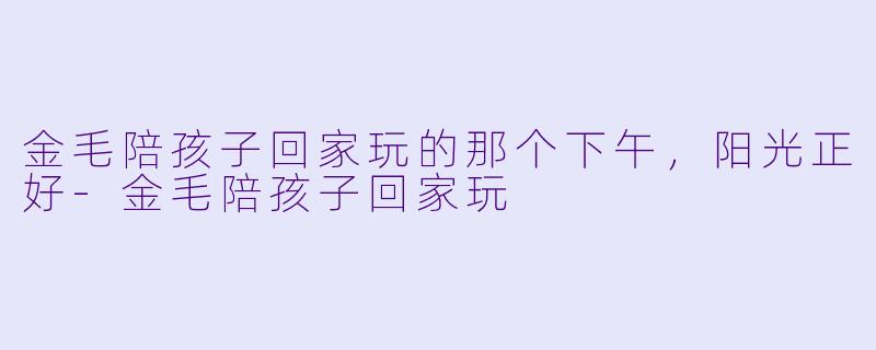 金毛陪孩子回家玩的那个下午,阳光正好-金毛陪孩子回家玩