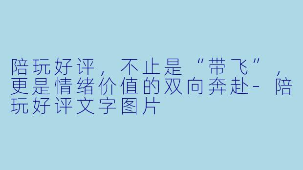 陪玩好评,不止是“带飞”,更是情绪价值的双向奔赴-陪玩好评文字图片