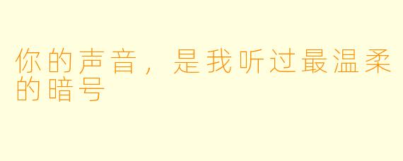 你的声音，是我听过最温柔的暗号