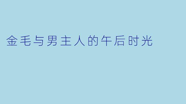 金毛与男主人的午后时光