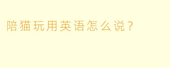 陪猫玩用英语怎么说？