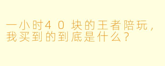 一小时40块的王者陪玩，我买到的到底是什么？