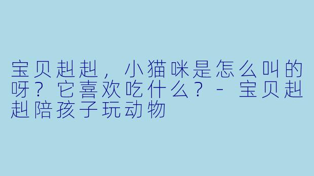 宝贝赳赳，小猫咪是怎么叫的呀？它喜欢吃什么？-宝贝赳赳陪孩子玩动物