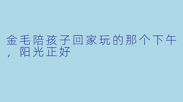 金毛陪孩子回家玩的那个下午,阳光正好