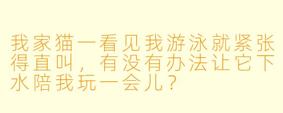 我家猫一看见我游泳就紧张得直叫,有没有办法让它下水陪我玩一会儿?
