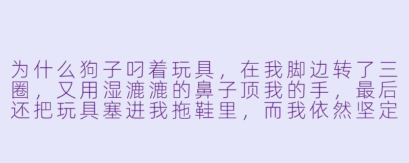 为什么狗子叼着玩具，在我脚边转了三圈，又用湿漉漉的鼻子顶我的手，最后还把玩具塞进我拖鞋里，而我依然坚定地坐在沙发上不动弹？-不陪狗子玩