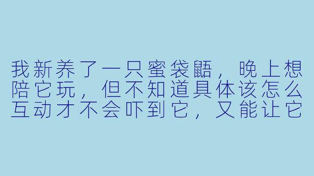 我新养了一只蜜袋鼯，晚上想陪它玩，但不知道具体该怎么互动才不会吓到它，又能让它开心？