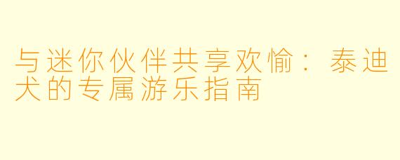 与迷你伙伴共享欢愉:泰迪犬的专属游乐指南