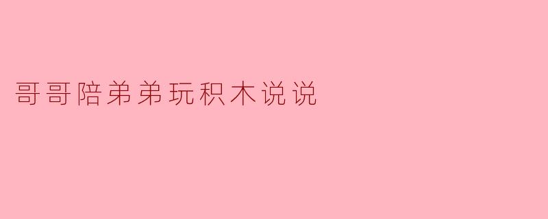 哥哥陪弟弟玩积木说说