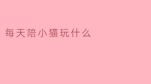 每天陪小猫玩什么