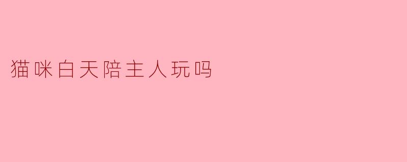 猫咪白天陪主人玩吗