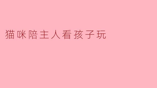 猫咪陪主人看孩子玩