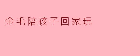 金毛陪孩子回家玩