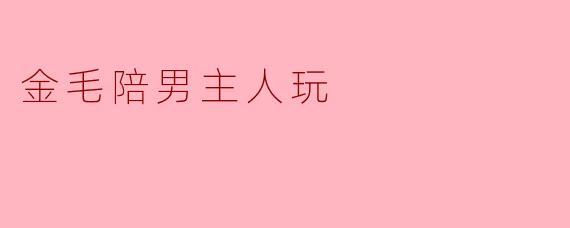 金毛与男主人的午后时光