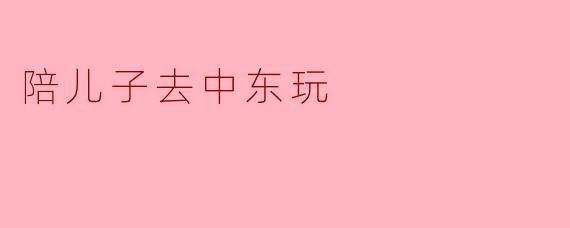 陪儿子去中东玩