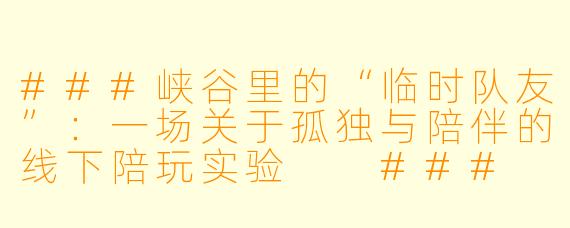###峡谷里的“临时队友”：一场关于孤独与陪伴的线下陪玩实验

###