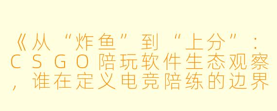 《从“炸鱼”到“上分”:CSGO陪玩软件生态观察,谁在定义电竞陪练的边界?》
