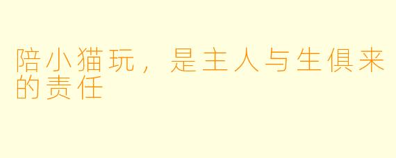陪小猫玩，是主人与生俱来的责任