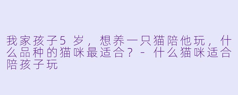 我家孩子5岁，想养一只猫陪他玩，什么品种的猫咪最适合？-什么猫咪适合陪孩子玩