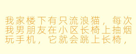 我家楼下有只流浪猫,每次我男朋友在小区长椅上抽烟玩手机,它就会跳上长椅,用脑袋蹭他胳膊,有时还翻肚皮打滚,尾巴尖一勾一勾地绕他手腕。我逗它它就哈我,这猫是不是成精了?它到底想干嘛?