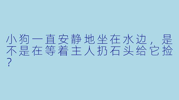 小狗一直安静地坐在水边，是不是在等着主人扔石头给它捡？