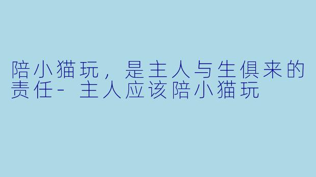 陪小猫玩，是主人与生俱来的责任-主人应该陪小猫玩