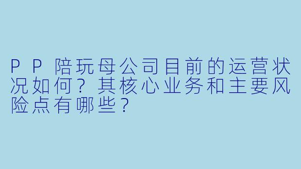 PP陪玩母公司目前的运营状况如何？其核心业务和主要风险点有哪些？
