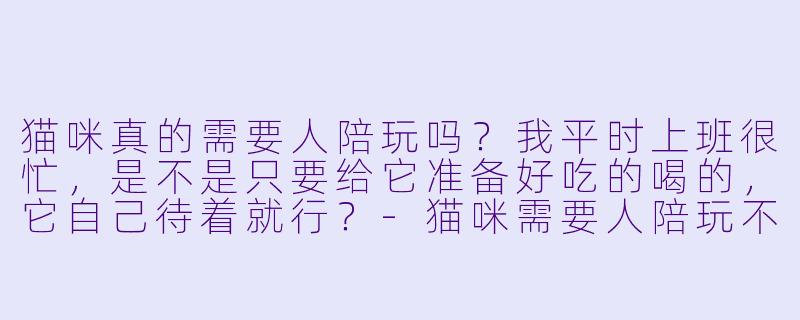 猫咪真的需要人陪玩吗？我平时上班很忙，是不是只要给它准备好吃的喝的，它自己待着就行？
