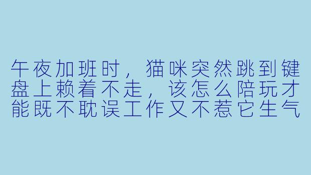 午夜加班时，猫咪突然跳到键盘上赖着不走，该怎么陪玩才能既不耽误工作又不惹它生气？