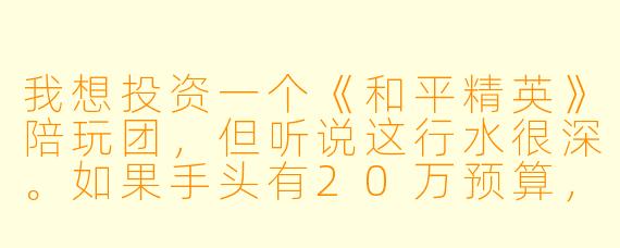 我想投资一个《和平精英》陪玩团，但听说这行水很深。如果手头有20万预算，是应该自己从零建团，还是直接加盟一个成熟品牌？哪种方式回本更快、风险更可控？