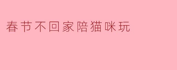 今年春节不回家，一个人留在这座空城里，除了饺子外卖和春晚重播，还能干点啥才能让除夕夜不那么冷清？