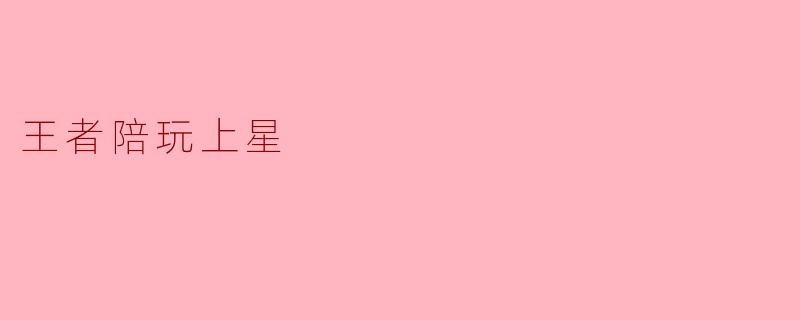 王者陪玩上星