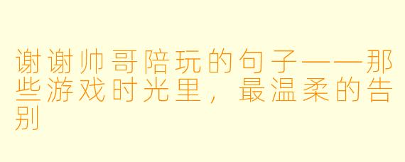 谢谢帅哥陪玩的句子——那些游戏时光里，最温柔的告别
