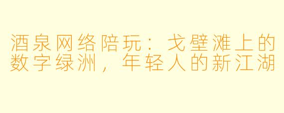 酒泉网络陪玩:戈壁滩上的数字绿洲,年轻人的新江湖