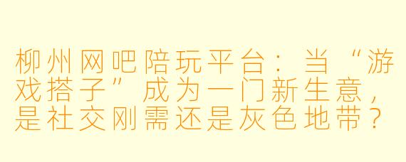 柳州网吧陪玩平台：当“游戏搭子”成为一门新生意，是社交刚需还是灰X  地带？