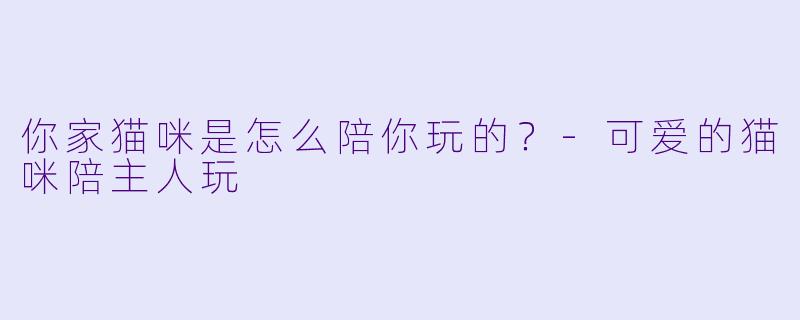 你家猫咪是怎么陪你玩的？-可爱的猫咪陪主人玩