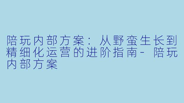 陪玩内部方案:从野蛮生长到精细化运营的进阶指南-陪玩内部方案