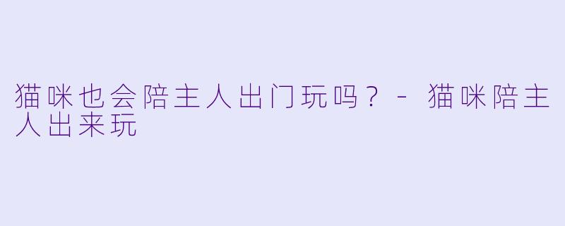 猫咪也会陪主人出门玩吗?-猫咪陪主人出来玩