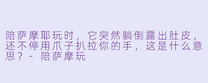 陪萨摩耶玩时,它突然躺倒露出肚皮,还不停用爪子扒拉你的手,这是什么意思?-陪萨摩玩