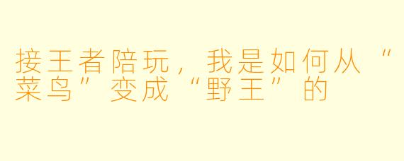 接王者陪玩,我是如何从“菜鸟”变成“野王”的