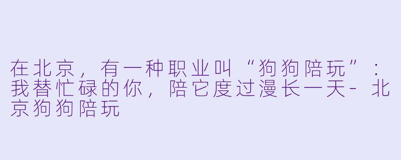 在北京,有一种职业叫“狗狗陪玩”:我替忙碌的你,陪它度过漫长一天-北京狗狗陪玩