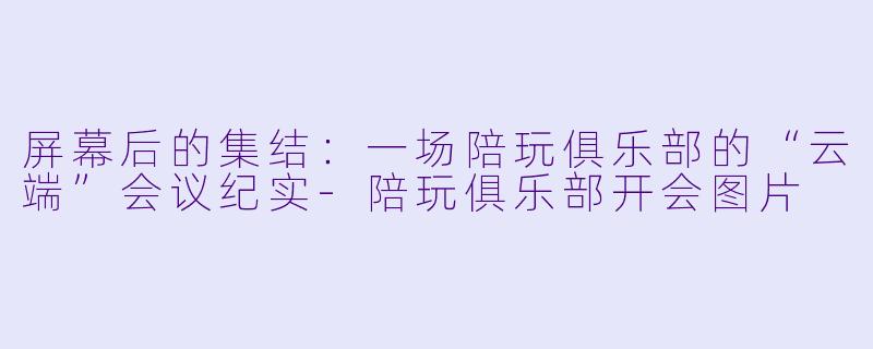 屏幕后的集结:一场陪玩俱乐部的“云端”会议纪实-陪玩俱乐部开会图片