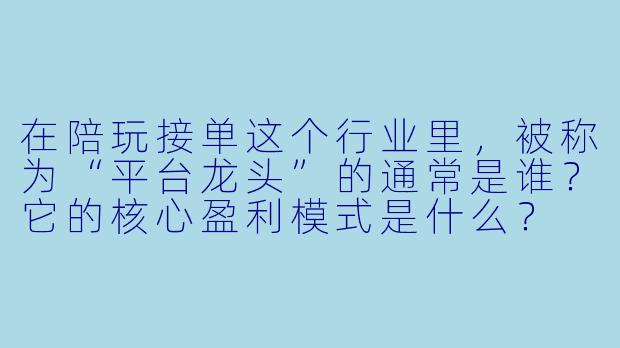 在陪玩接单这个行业里，被称为“平台龙头”的通常是谁？它的核心盈利模式是什么？